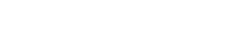 Aniflow Logo